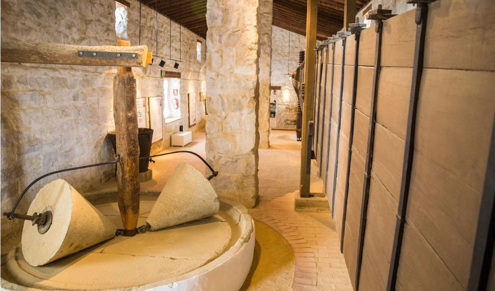 museo del olivo baeza